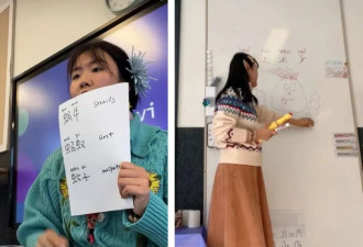 我在美国当老师：刚入职，就被小学生打了