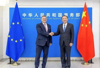 王文涛会见欧盟官员，准备了一份“特别礼物”