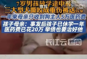 7岁男孩被3只大型犬撕咬：左耳咬掉，头皮撕裂...