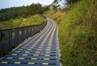广东深圳又现“搓衣板式”减速带？网友称“可震碎结石”