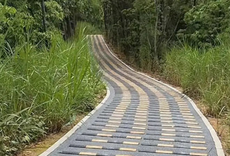 深圳现"搓衣板式"减速带 网友直呼"反人类"