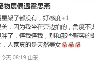 霍思燕现身青岛宠物展，胖的可爱并不招人嫌