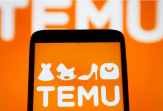 迅速下滑 Temu跌落美国购物应用榜首