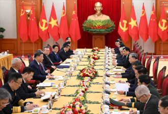 越共总书记苏林见习近平