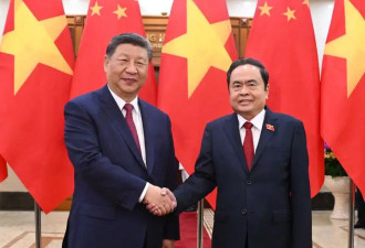 习近平在越共中央驻地会见越南国会主席陈青敏