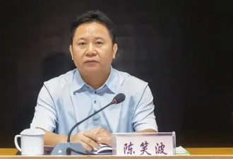 泄露工作秘密,大搞权钱交易 "内鬼"陈笑波被逮捕