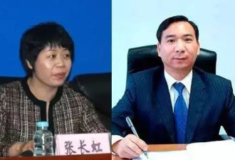 投资250万狂赚5万倍，王传福表哥“闷声发大财”
