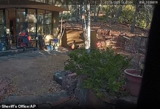 3000万豪宅闹鼠患 成为杀死影帝妻子病毒繁殖地