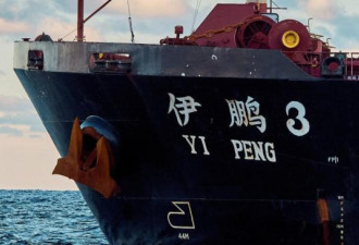 中国货轮切断海底电缆案 瑞典调查结果出炉