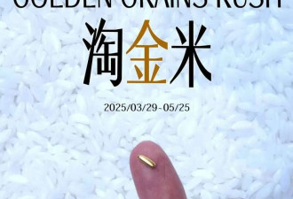 吸睛艺术?狂撒45万黄金!最狂创意人被审判了