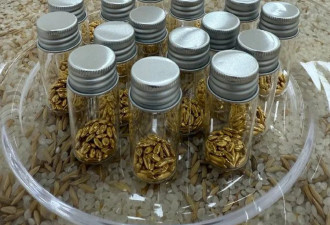 吸睛艺术?狂撒45万黄金!最狂创意人被审判了