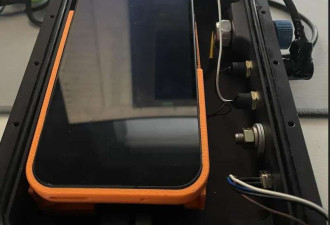 海豚语言被谷歌模型破译实现跨物种交流 下个是狗