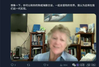 海豚语言被谷歌模型破译实现跨物种交流 下个是狗