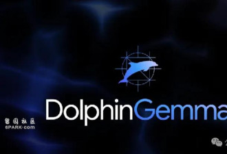 海豚语言被谷歌模型破译实现跨物种交流 下个是狗