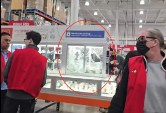 懵了！加国一家Costco突遭抢劫 员工受伤