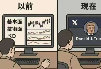 关税暴涨 大飞脱销 墨西哥湾上演猛龙过江