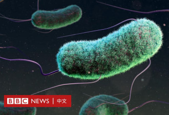 研究显示三百万儿童死亡与抗菌素耐药性有关