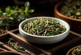 春食野菜正当时 看看你吃对了吗