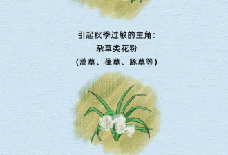春季花粉过敏高发 “过敏星人”生存指南