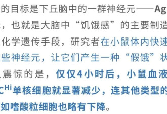 饿肚子，寿命更长？还能重塑免疫