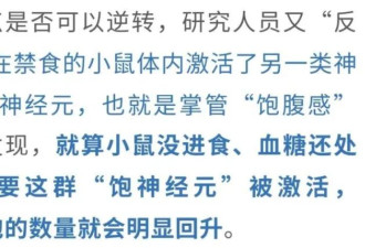 饿肚子，寿命更长？还能重塑免疫