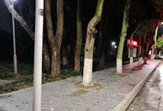 宁波“天屎之路”引热议，有人测算：55.4秒通过即可