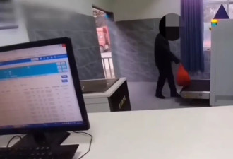 男子手拎981株罂粟苗入境云南被查，清点时铺满海关查验台