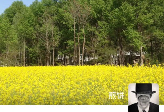 格律诗和“夜航船”:朋友们心目中的“煽颠罪犯”王建兵