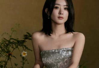 绝望的文盲又添一员？赵丽颖演技被央视打低分