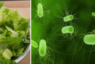 美国15州爆发致死大肠杆菌疫情 FDA 隐瞒不公开