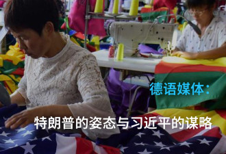 德语媒体：5%的增长目标悬了？