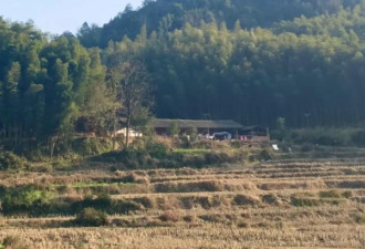 哈佛中国留学生遭遣返，经历小黑屋至暗20小时