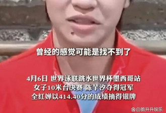 全红婵丢冠后遭差评 3字硬怼挑事者