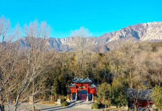 极其讽刺，又极其真实
