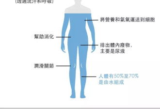 喝多少水才算过量？水分摄取太多与脱水的风险