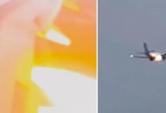 起飞时撞上兔子酿引擎起火，美国联合航空客机返航