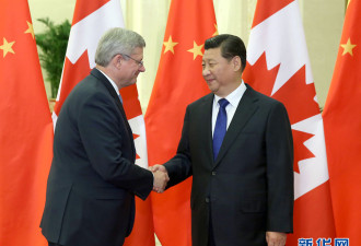 联邦大选又见炒作涉华议题！是故意忽悠公众，还是不懂政治