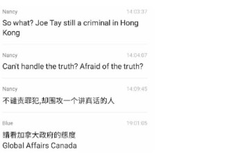 警惕外部敌意势力干涉联邦选举