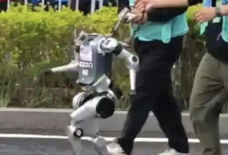 北京机器人马拉松 跑到“脑袋掉下来”继续冲刺