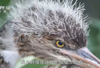 “天屎之路”引热议，除了让居民多几分理解....