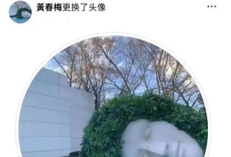 48岁大S去世后S妈首露面 ，头像换成日本游玩照， 眼睛肿胀憔悴令人心痛