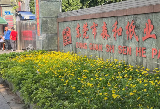 东莞造纸厂破产清算，数百名工人守厂自救