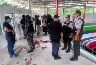 斗鸡场突遭“假军人扫射” 12死！ 现场溷乱
