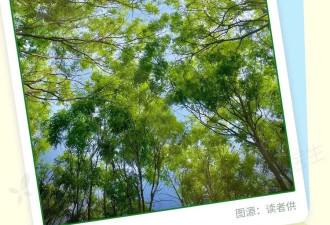 最被低估的抗抑郁方式！21秒就有奇效
