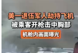 有美国人持刀劫机 被乘客击毙 什么安检啊?