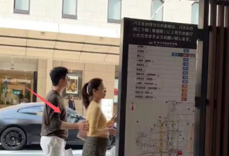 网友遇杨采珏 小刘亦菲终未成真“神仙姐姐”