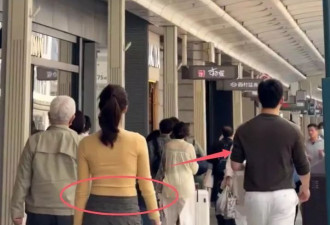 网友遇杨采珏 小刘亦菲终未成真“神仙姐姐”