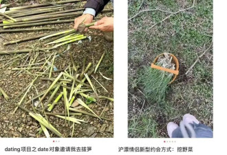 江浙沪最流行的City Dig，早被河南玩明白了