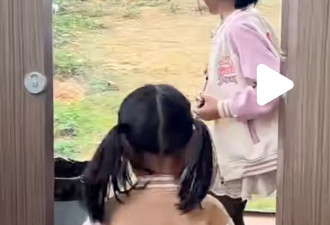 一边如厕一边观虎？动物园：为游客新增观赏体验