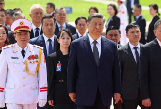 指“习近平像黑帮老大” 竟然是她站出来